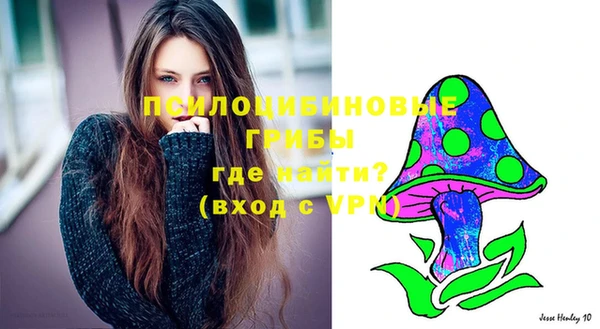 соль курить ск Михайловка